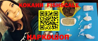 гашик Тара