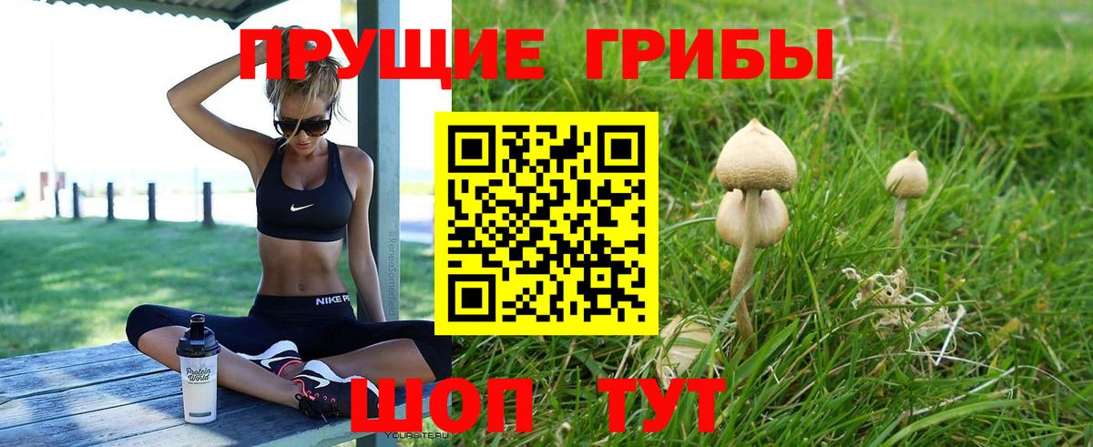 Галлюциногенные грибы Psilocybe Ливны
