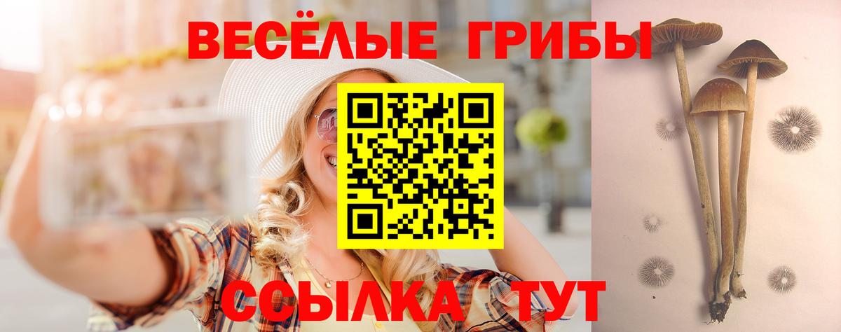 Ливны  где найти наркотики  Вход с VPN  Галлюциногенные грибы Psilocybine cubensis 